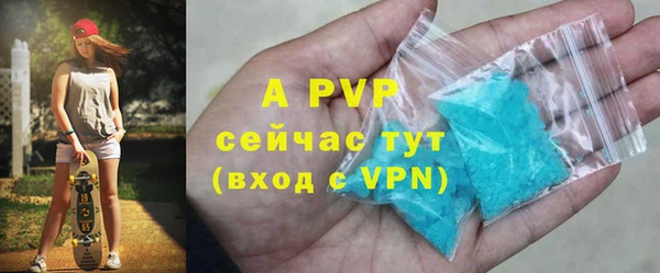 прущие грибы Заводоуковск