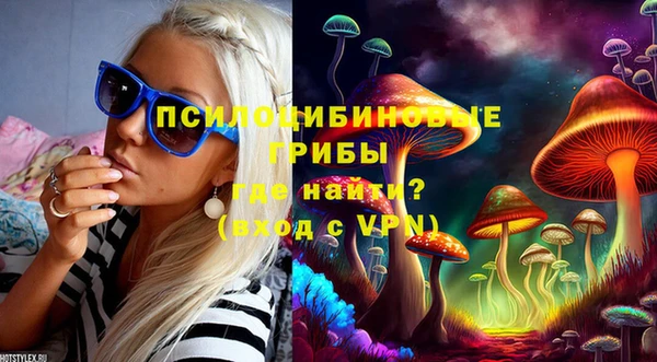 прущие грибы Заводоуковск