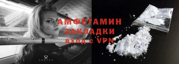 прущие грибы Заводоуковск