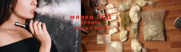 прущие грибы Заводоуковск