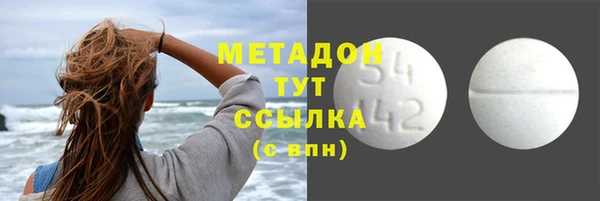 прущие грибы Заводоуковск