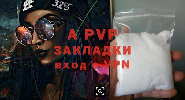 прущие грибы Заводоуковск