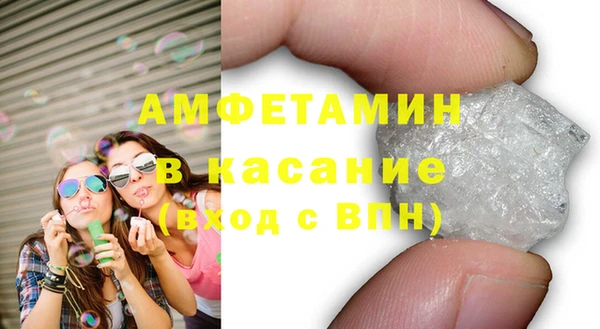 прущие грибы Заводоуковск