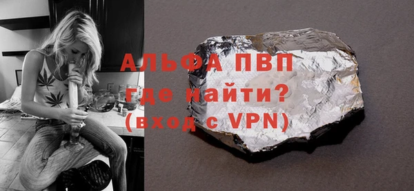 прущие грибы Заводоуковск