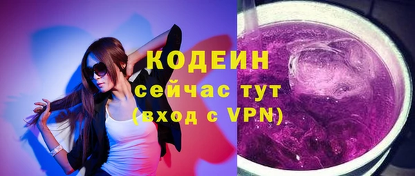 прущие грибы Заводоуковск