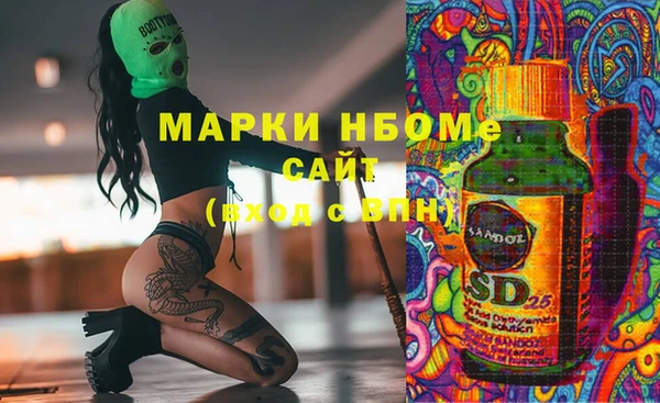 прущие грибы Заводоуковск
