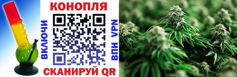 Купить где  Ветлуга  Шишки марихуана THC 21% 